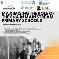 Maximising the Role of the SNA in Mainstream Primary Schools